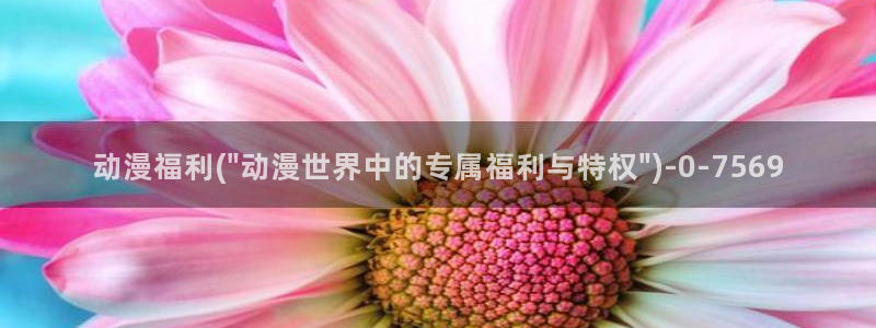 艳母动漫在线观看