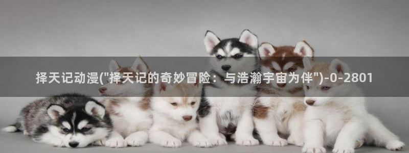 好看动漫网