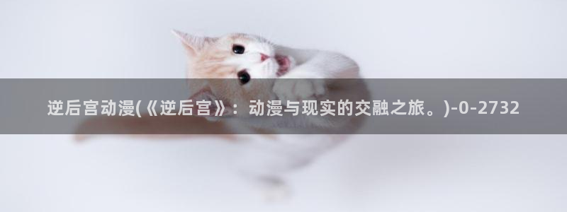 斗罗大陆2绝世唐门动漫