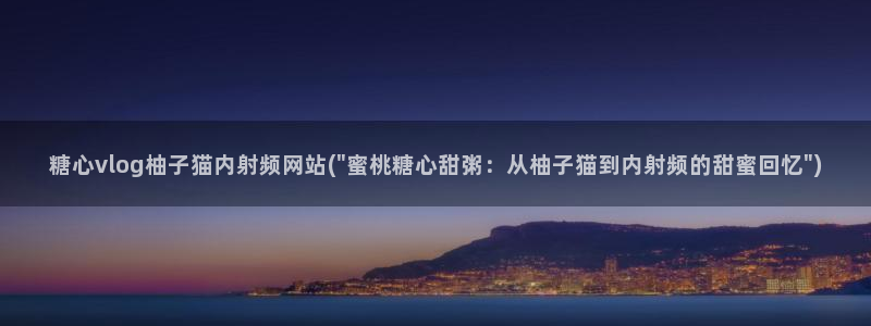 糖心vlgo神探狸狸