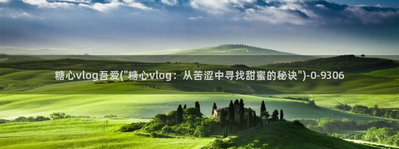 糖心vlgo国产大象传媒