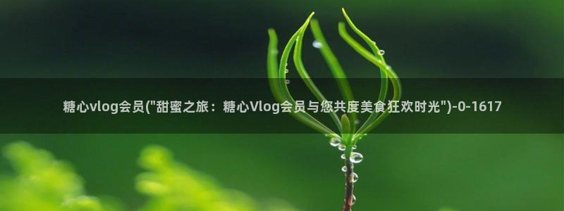 糖心vlog是干嘛的