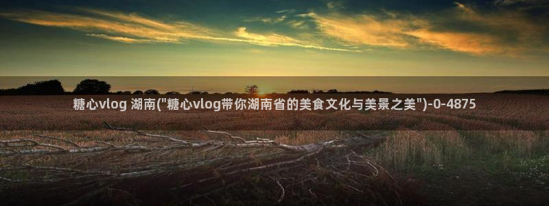 糖心vilog